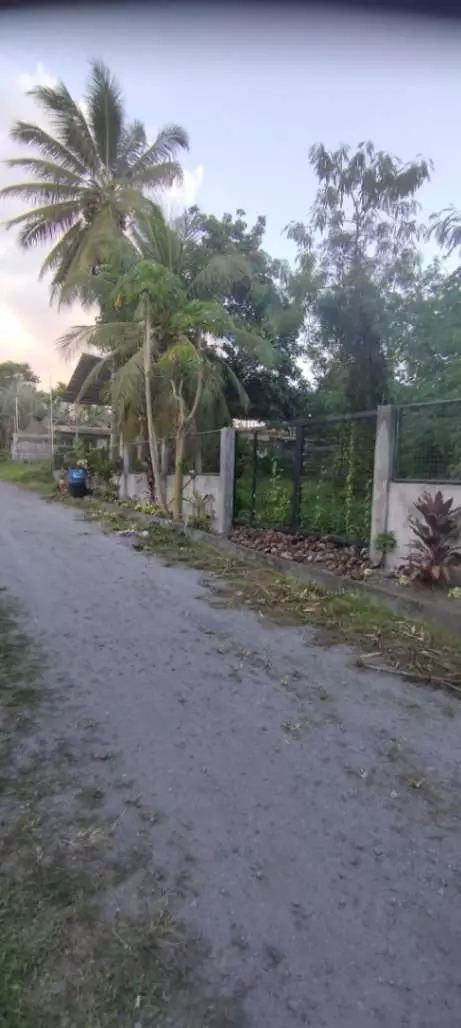 For Sale: 600 sqm Lot in Brgy. Pag Asa, Cannery Polomolok, South Cotabato – Ideal for Home Build - photo 5