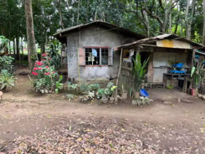 For Sale: 1,000 sqm Lot in Lalaan 1st, Silang Cavite – Near Acienda Mall - photo 6
