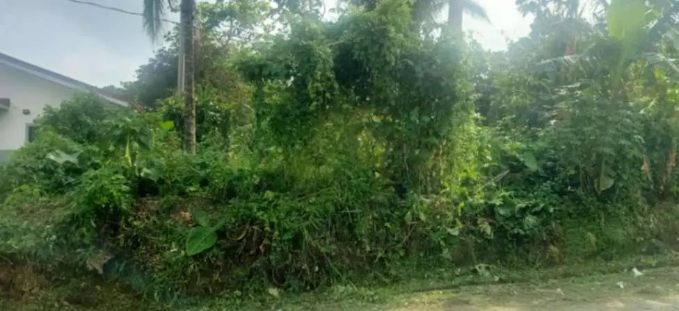 For Sale: 1,000sqm Lot in Buho Silang, Tagaytay Road – Near CALAX Exit - photo 6