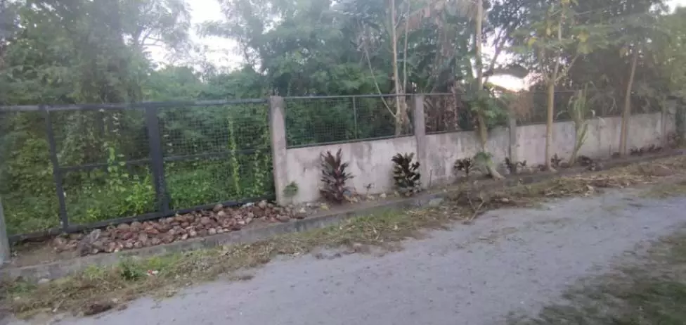 For Sale: 600 sqm Lot in Brgy. Pag Asa, Cannery Polomolok, South Cotabato – Ideal for Home Build - photo 3