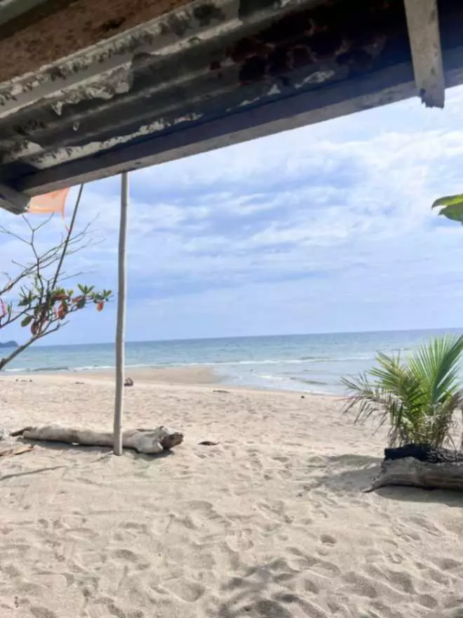 Beach Lot for Sale - photo 5