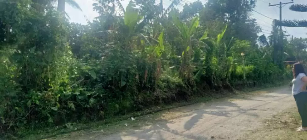 For Sale: 1,000sqm Lot in Buho Silang, Tagaytay Road – Near CALAX Exit