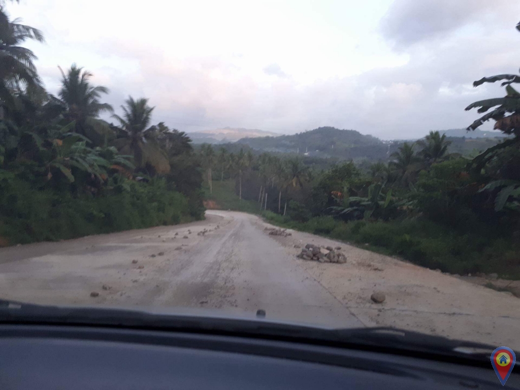 Lot In Toledo City, Cebu Filipino Homes