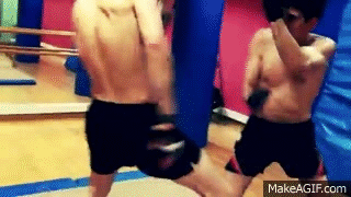 Mixed Martial Arts Mixed Martial Arts