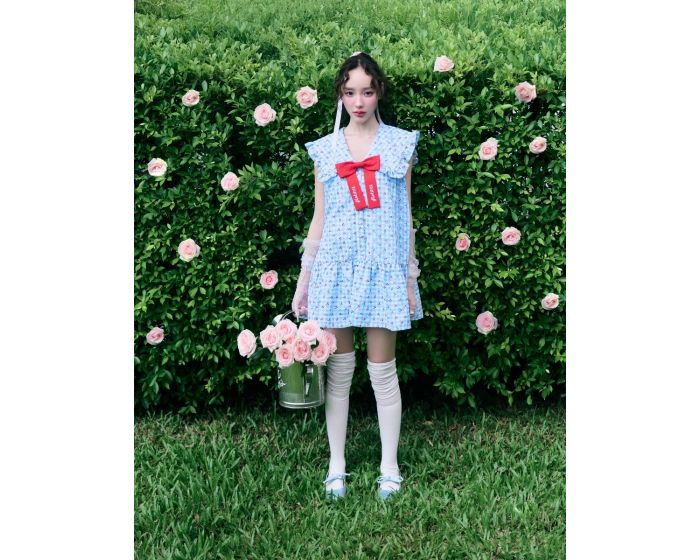 FF1173 - Cheriville Mini Dress
