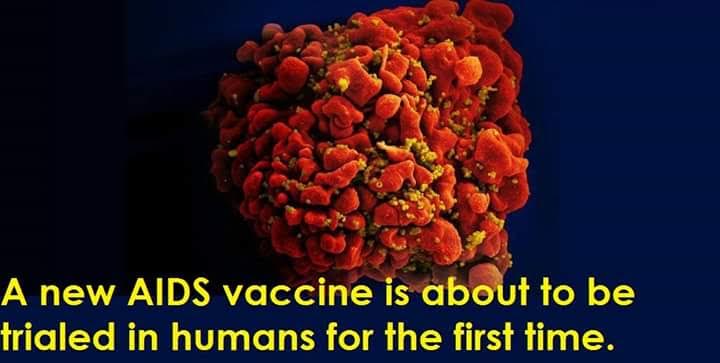 new vaccine for hiv  under trials main image