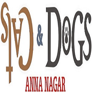 CATS&DOGS - logo CATS&DOGS - logo