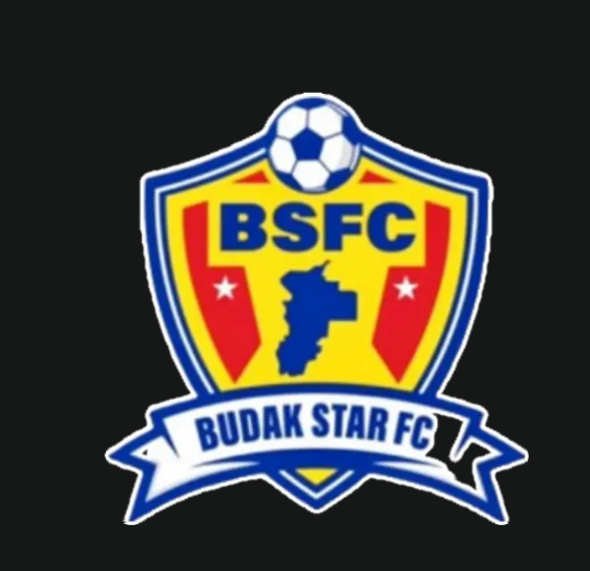 BSFC