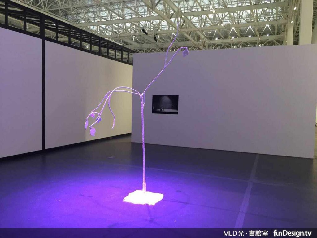 熟悉照明的Kenny,以完美佈光展現藝術品的生命力。