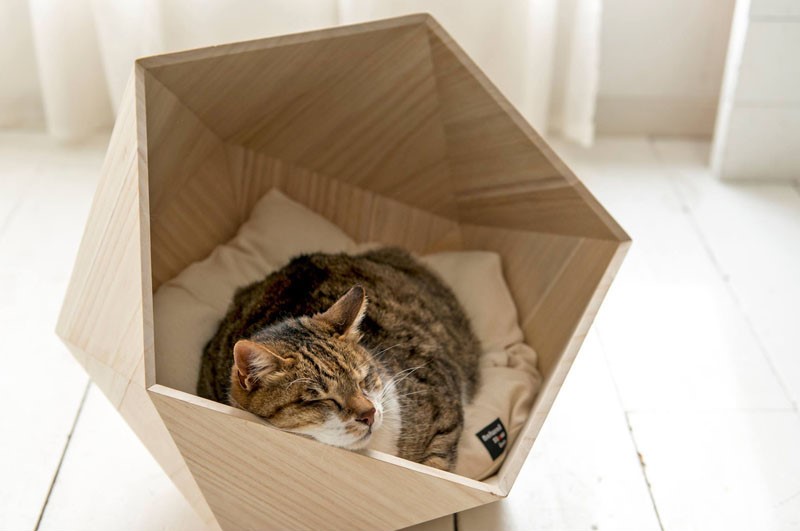 modern-wooden-pet-beds-cats-dogs-200217-342-03