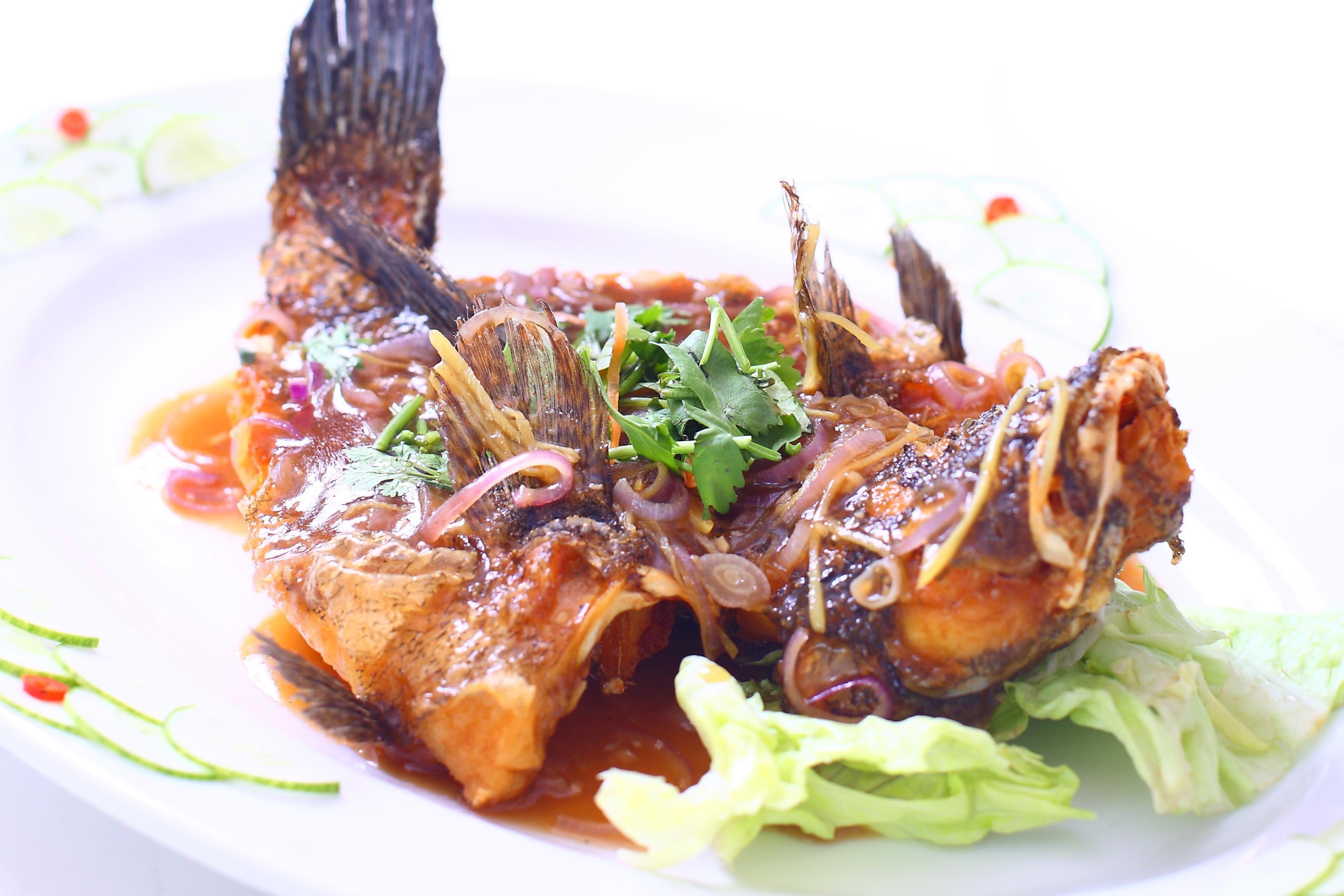 Fish 鱼类