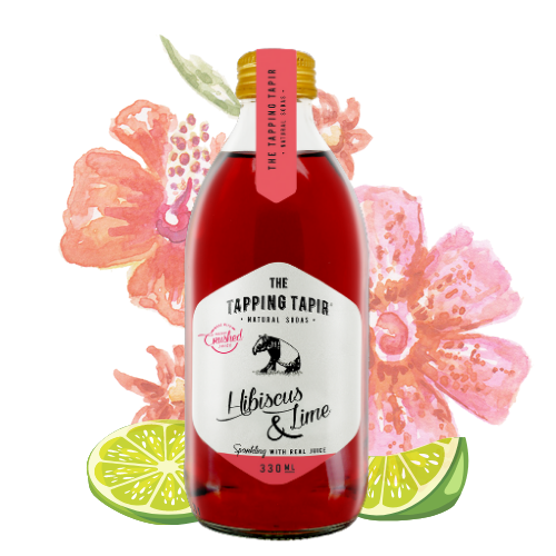 Crafted Soda by Tapping Tapir