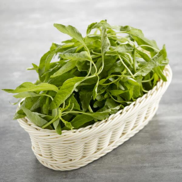 VEGETABLE 蔬菜