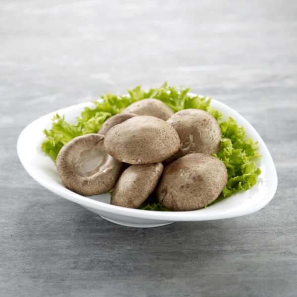 MUSHROOM 菌菇