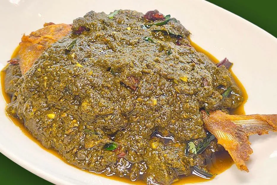 GONGURA POMFRET