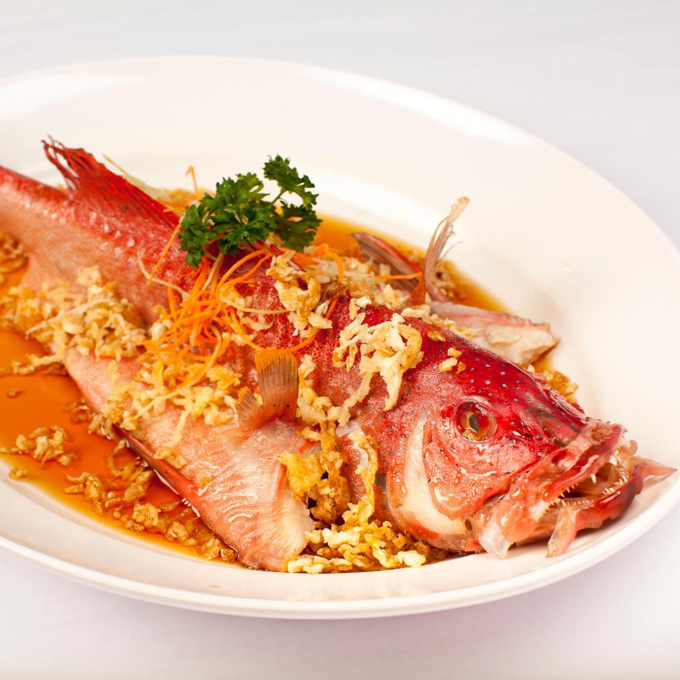 CNY 2023 - Fish 鱼