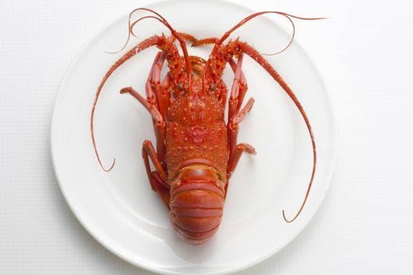 🧧🍊 CNY23 龙虾 Lobster (From 5Jan-12Jan)