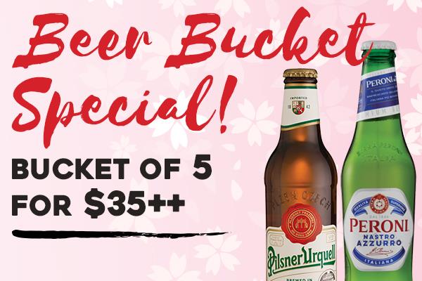 Bucket of 5 Beer