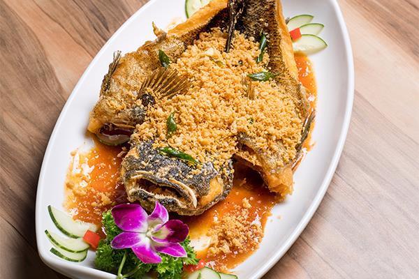 鱼 CNY FISH