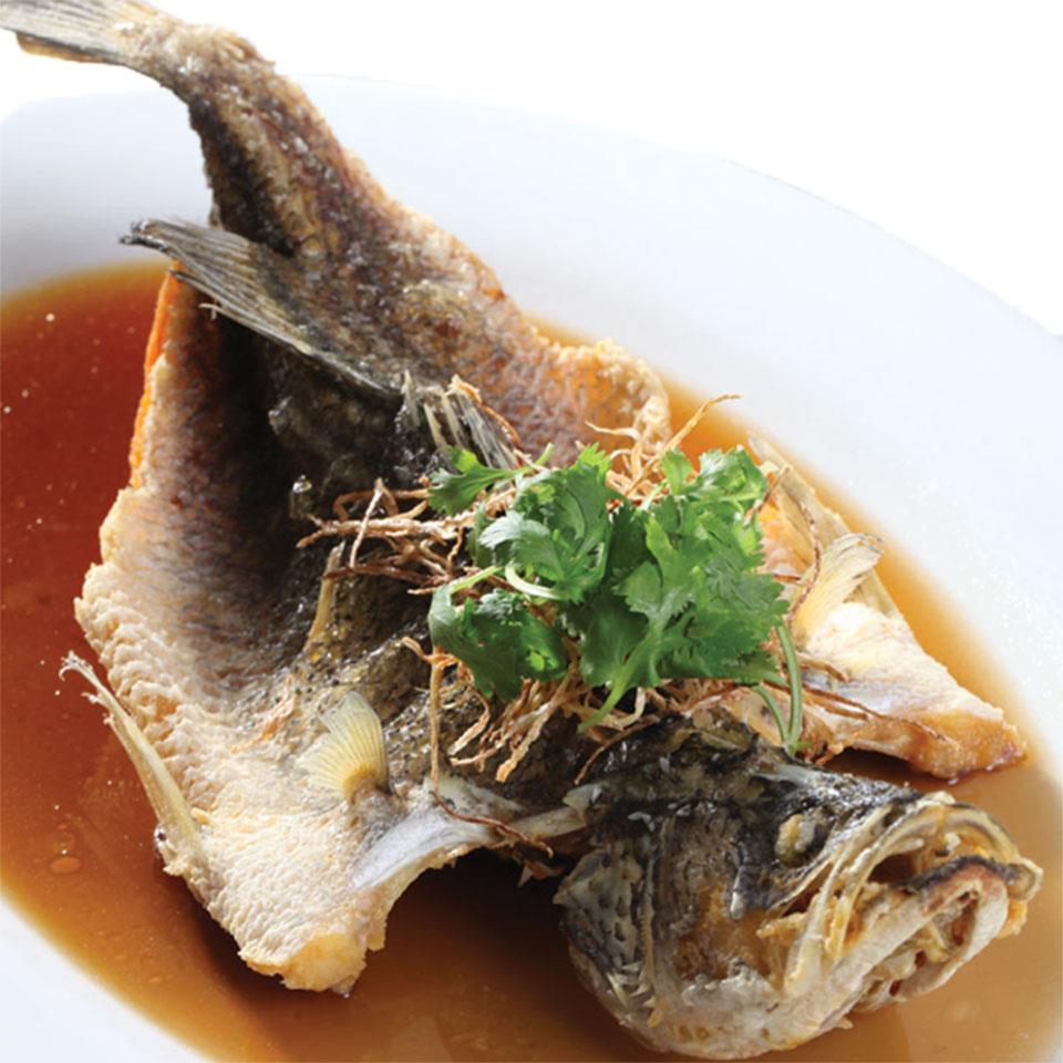 Fish 鱼