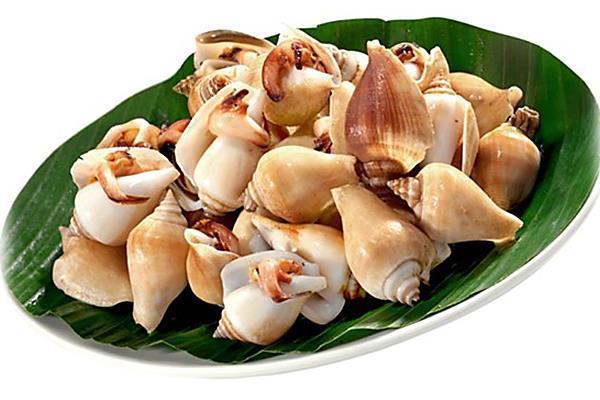 Clams / Cockles / Mussels