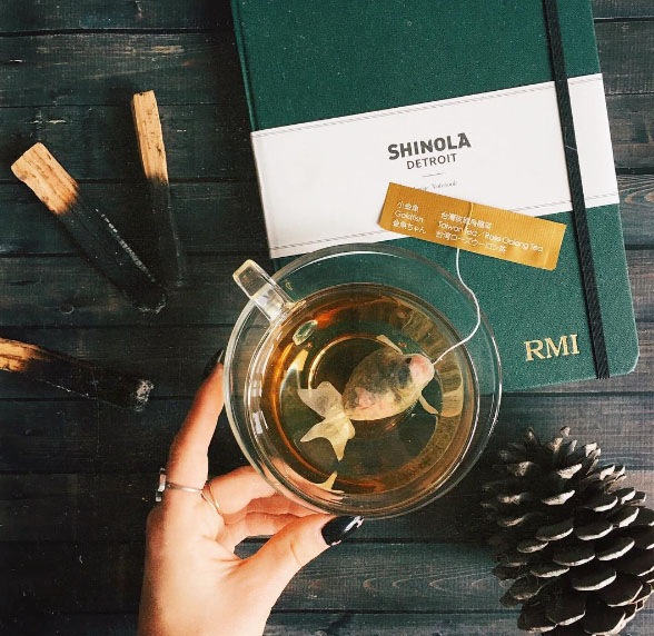 goldfish tea bag