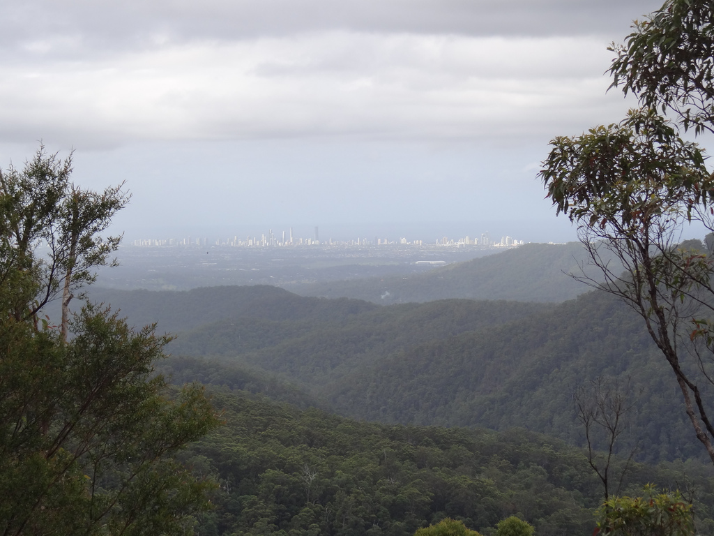 Gondwana Rainforests of Australia