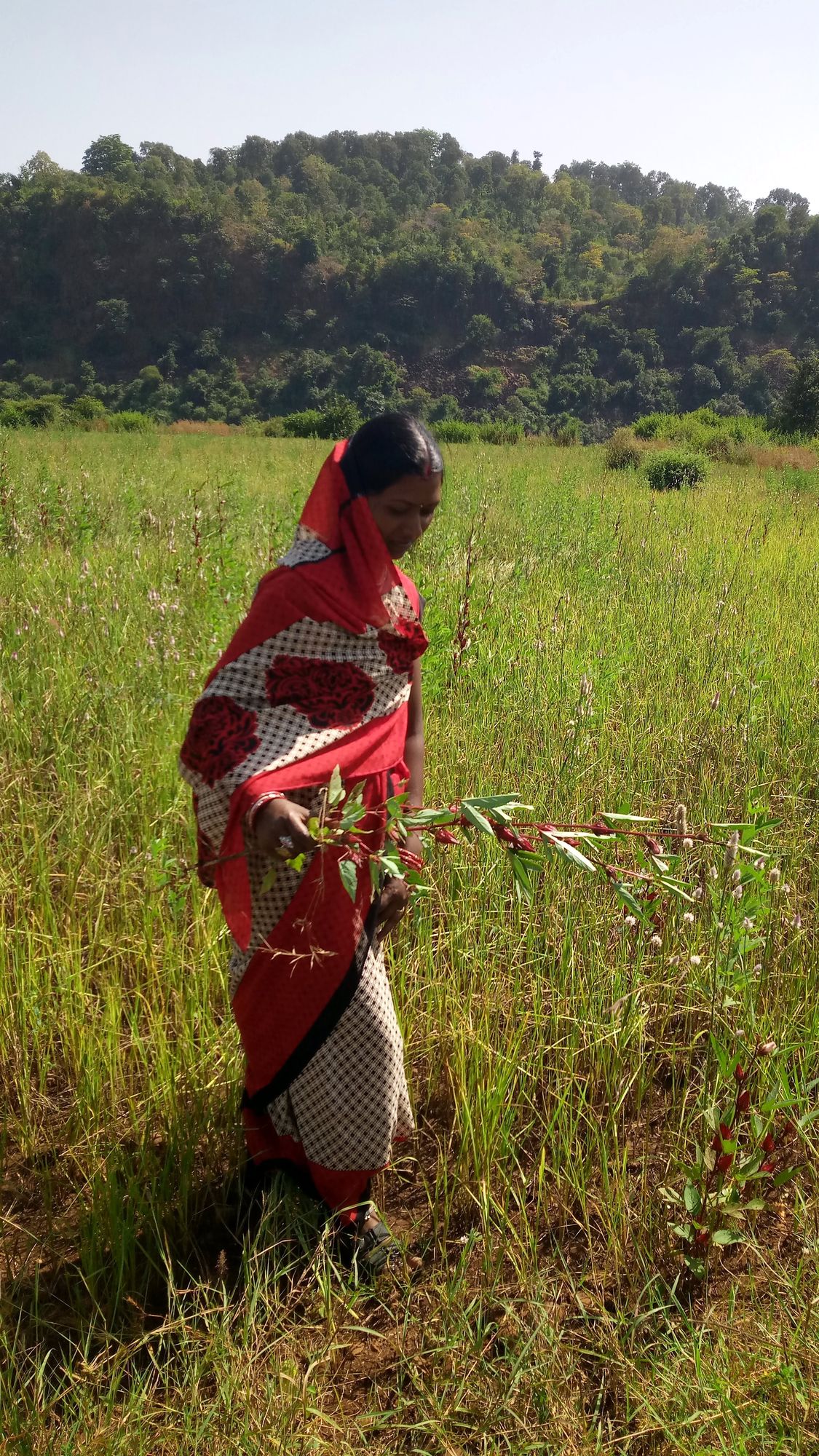 Rekha in her field