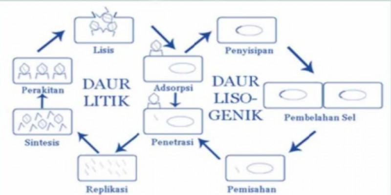 Guru Berbagi Virus Kelas X