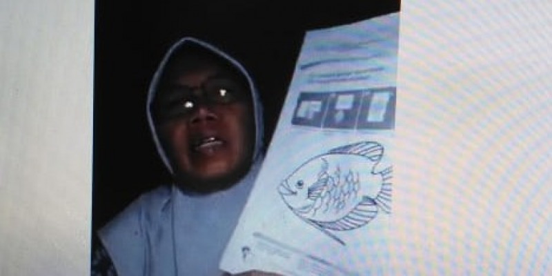 90+ Gambar Binatang Yang Hidup Di Air Untuk Anak Tk HD Terbaru