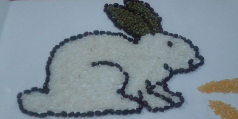 GURU BERBAGI RPPH Paud SubTema Binatang Peliharaan