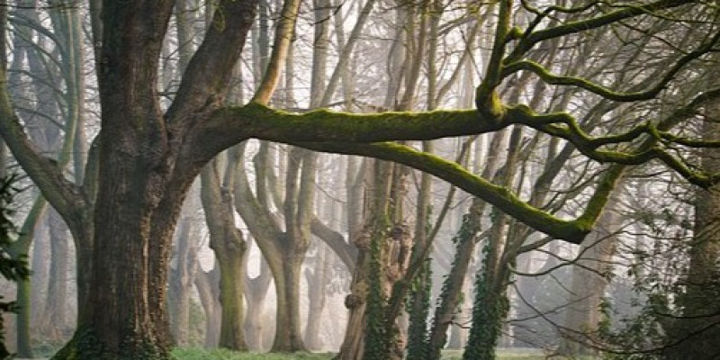 GURU BERBAGI | RENCANA PELAKSANAAN PEMBELAJARAN KELAS X