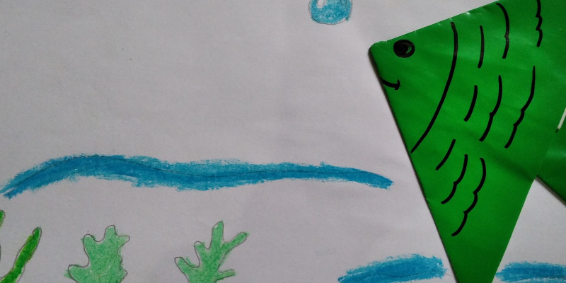 50 Gambar Hewan Air Untuk Anak Tk Gratis