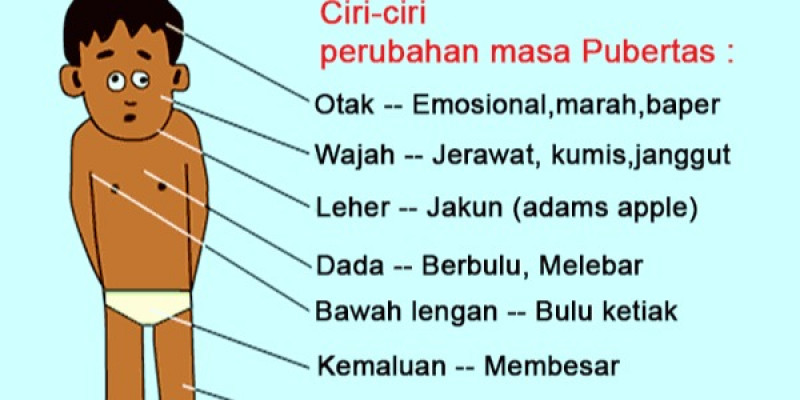 Guru Berbagi Ciri Ciri Pubertas Masyarakat Peduli Lingkungan