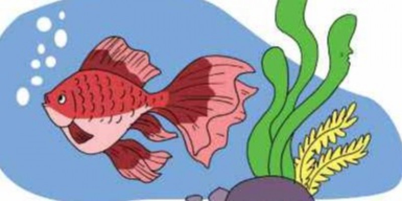 550 Gambar Hewan Yang Hidup Di Air HD