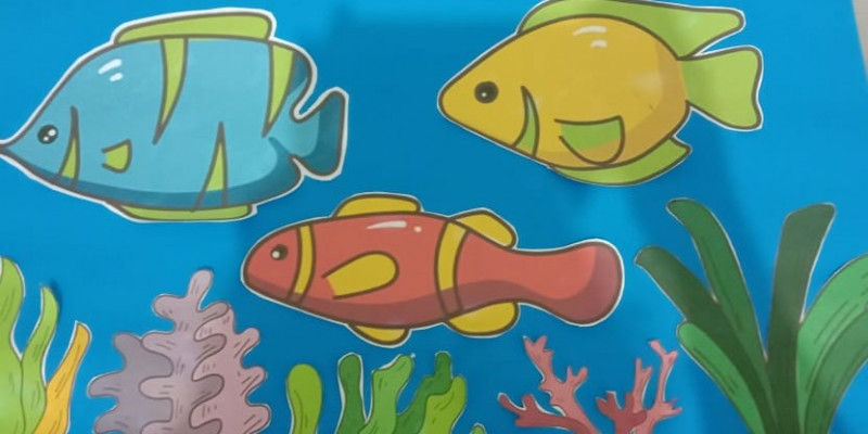 50 Gambar Hewan Air Untuk Anak Tk Gratis