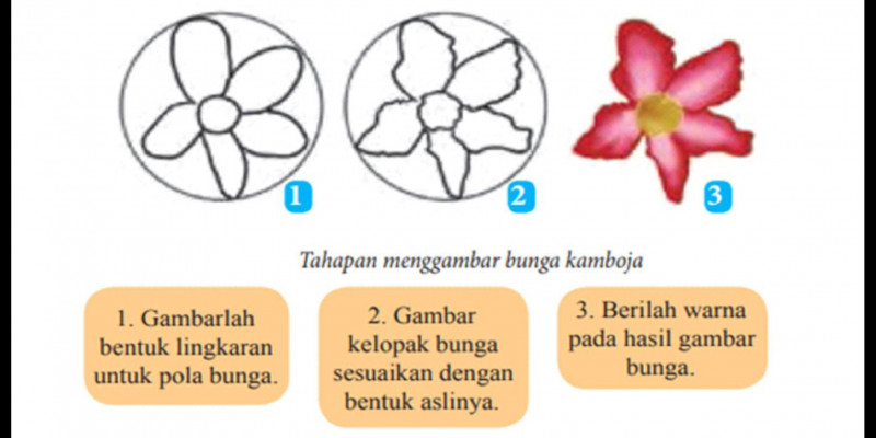 GURU BERBAGI Menggambar flora(unsur,prinsip,teknik,prosedur)
