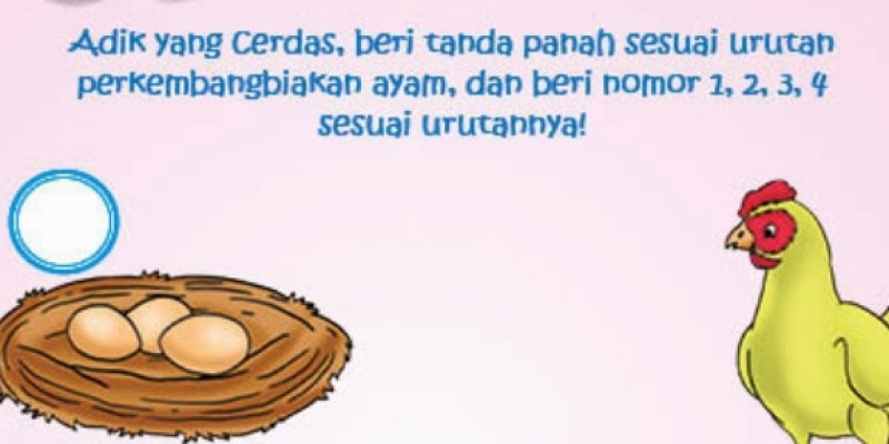 81+ Gambar Gambar Hewan Unggas Terbaru