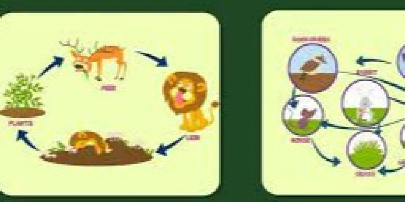 GURU BERBAGI RPP BIO KLS X Ekosistem