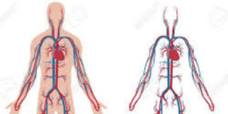 Guru Berbagi Rpp Sistem Peredaran Darah Pada Manusia Guru Berbagi Rpp Sistem Peredaran Darah Pada Manusia