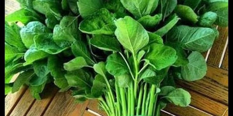 GURU BERBAGI RENCANA KEGIATAN PEMBELAJARAN TK SAYANG