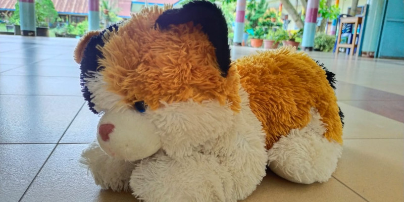 GURU BERBAGI RPPH Sub tema BINATANG DARAT KUCING