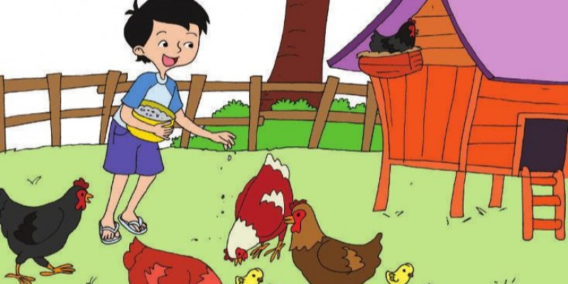 5200 Koleksi Gambar Animasi Binatang Unggas HD Terbaik