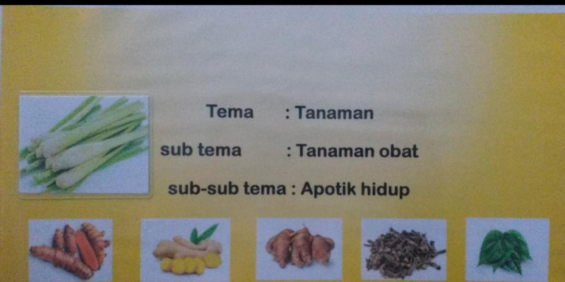Guru Berbagi Macam Macam Tanama Apotik Hidup