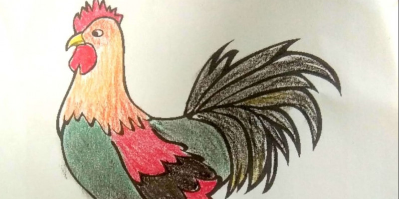 880 Koleksi Gambar Binatang Peliharaan Ayam Terbaik