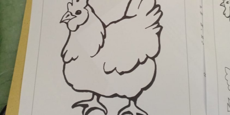 430 Gambar Binatang Ayam Gratis Terbaru