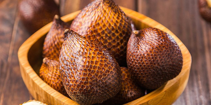 Gambar Lomba Menanam Tanaman