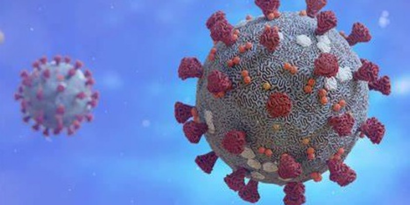 Jinise Artikel Bisa Kaperang Dadi . . . .&quot; File Guru SD