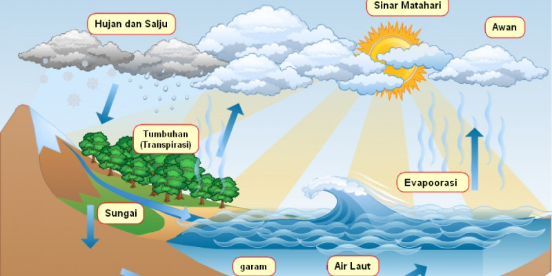 GURU BERBAGI | Rencana Pembelajaran Siklus Air Kelas V SD