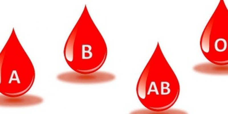 GURU BERBAGI  SISTEM PEREDARAN DARAH MANUSIA